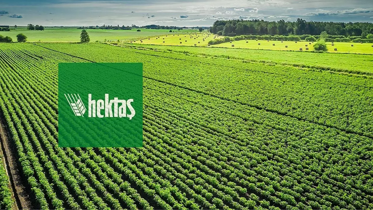 hektas